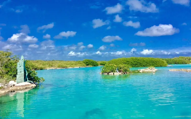 b laguna manglares cancun caribe